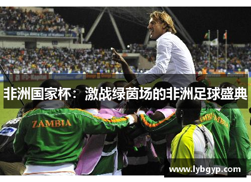 非洲国家杯:激战绿茵场的非洲足球盛典 非洲国家杯:激战绿茵场的非洲足球盛典