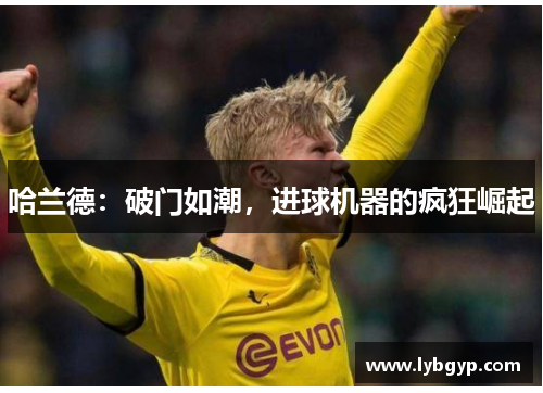 哈兰德:破门如潮,进球机器的疯狂崛起 哈兰德:破门如潮,进球机器的疯狂崛起